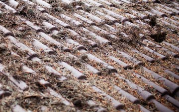 West Rainton roof cleaning companies